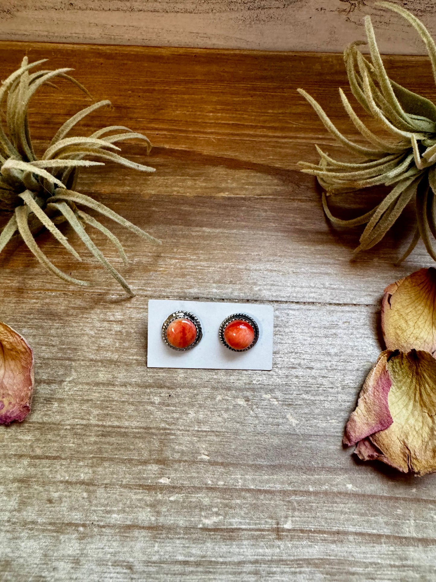 Spiny Oyster Stud Earrings – Sterling Silver - pick your
